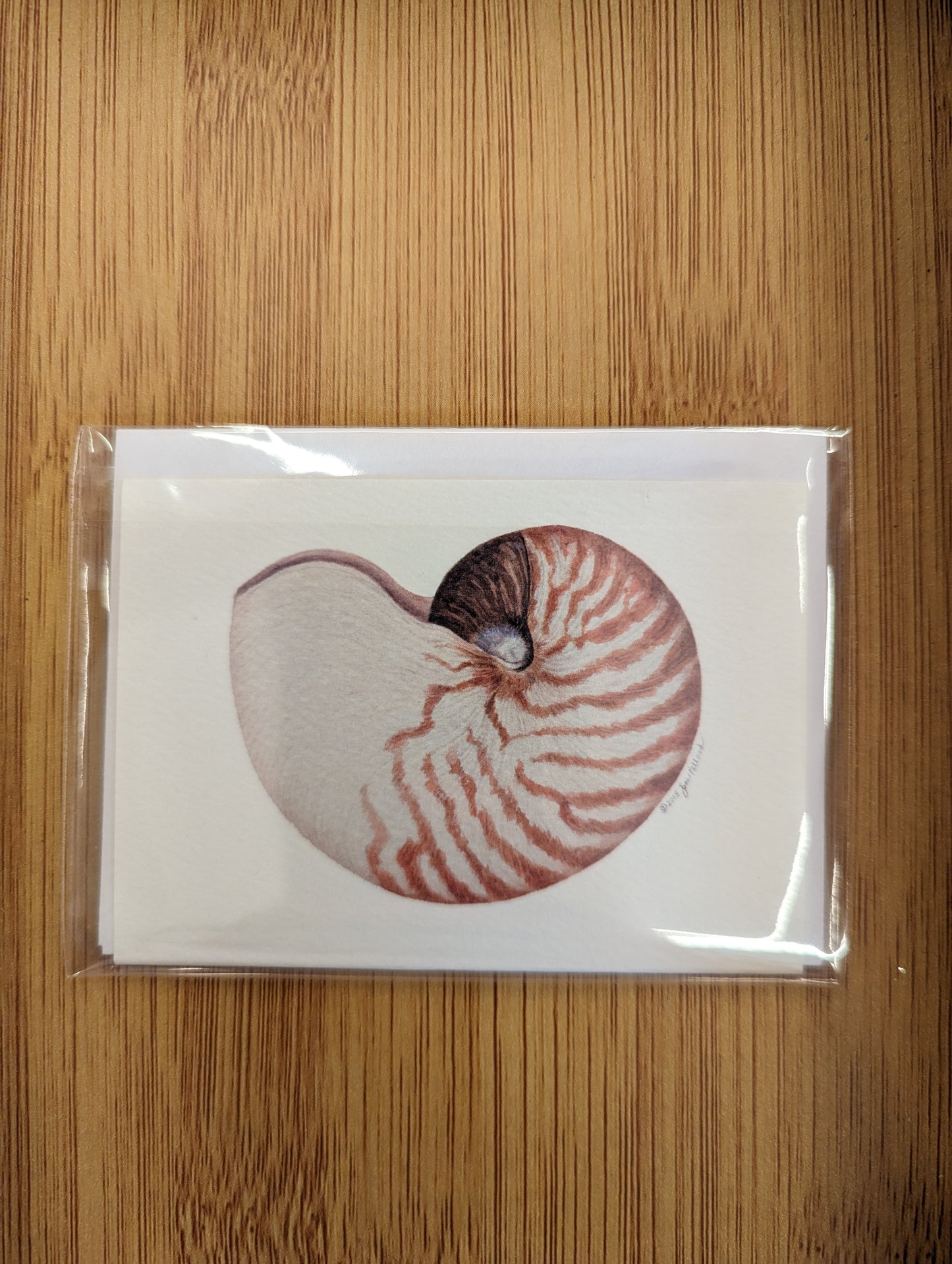 Nautilus Mini Cards