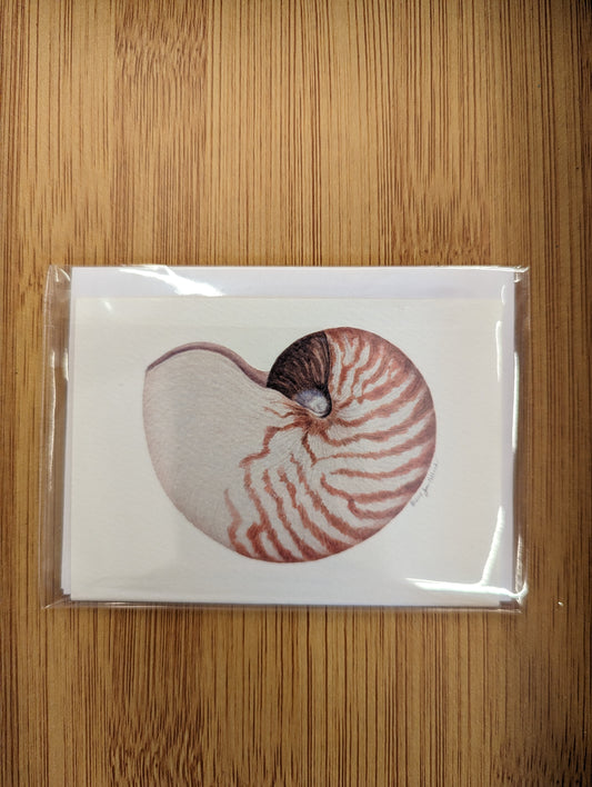Nautilus Mini Cards