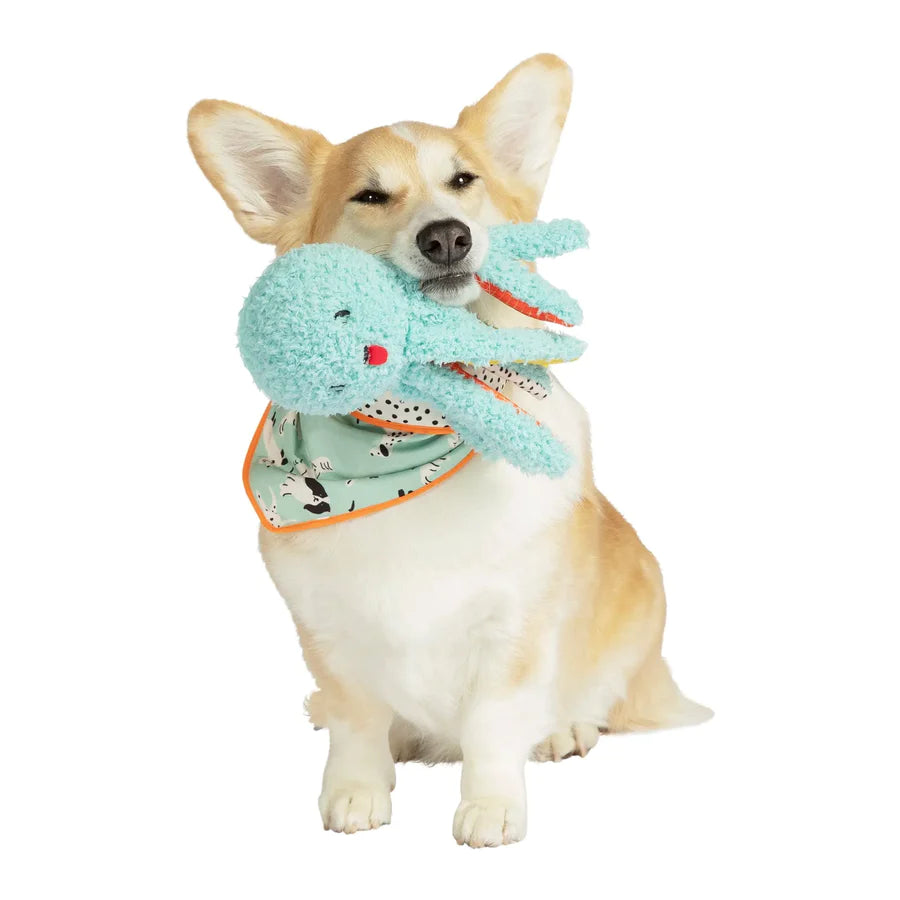 Oddball Olga Pet Toy