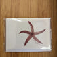 Starfish Mini Cards