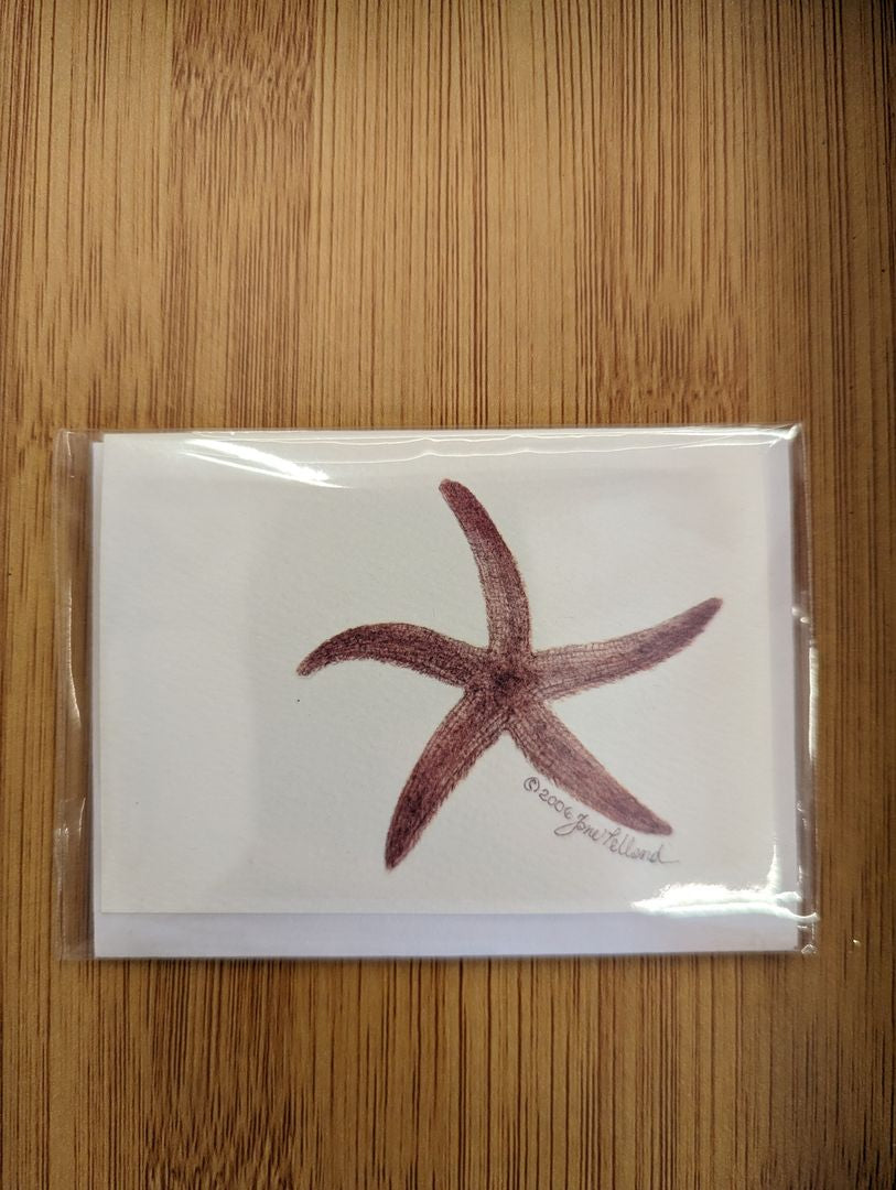 Starfish Mini Cards