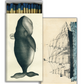 Matches - Whale & Clipper