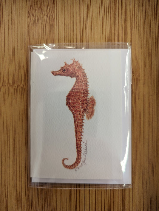 Seahorse Mini Cards