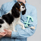 Mint Rubber Anchor Dog Toy