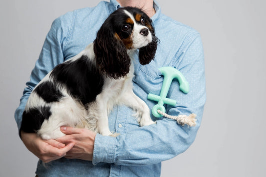 Rubber Anchor Dog Toy