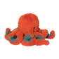 Octopus Coral (Franklin)